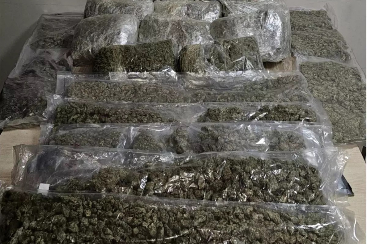 İzmir'de 19 kilogram esrar ele geçirildi: 1 gözaltı