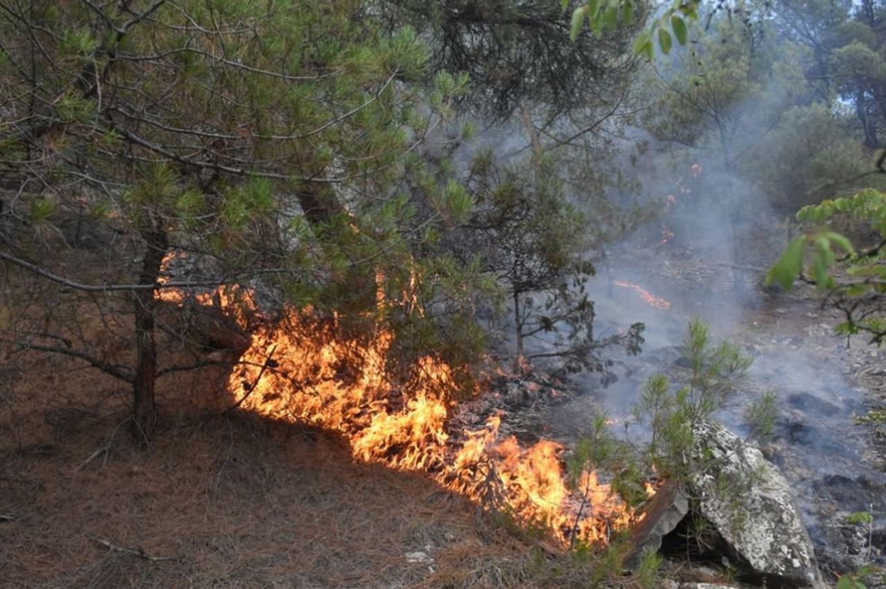 Kahramanmaraş'ta orman yangını