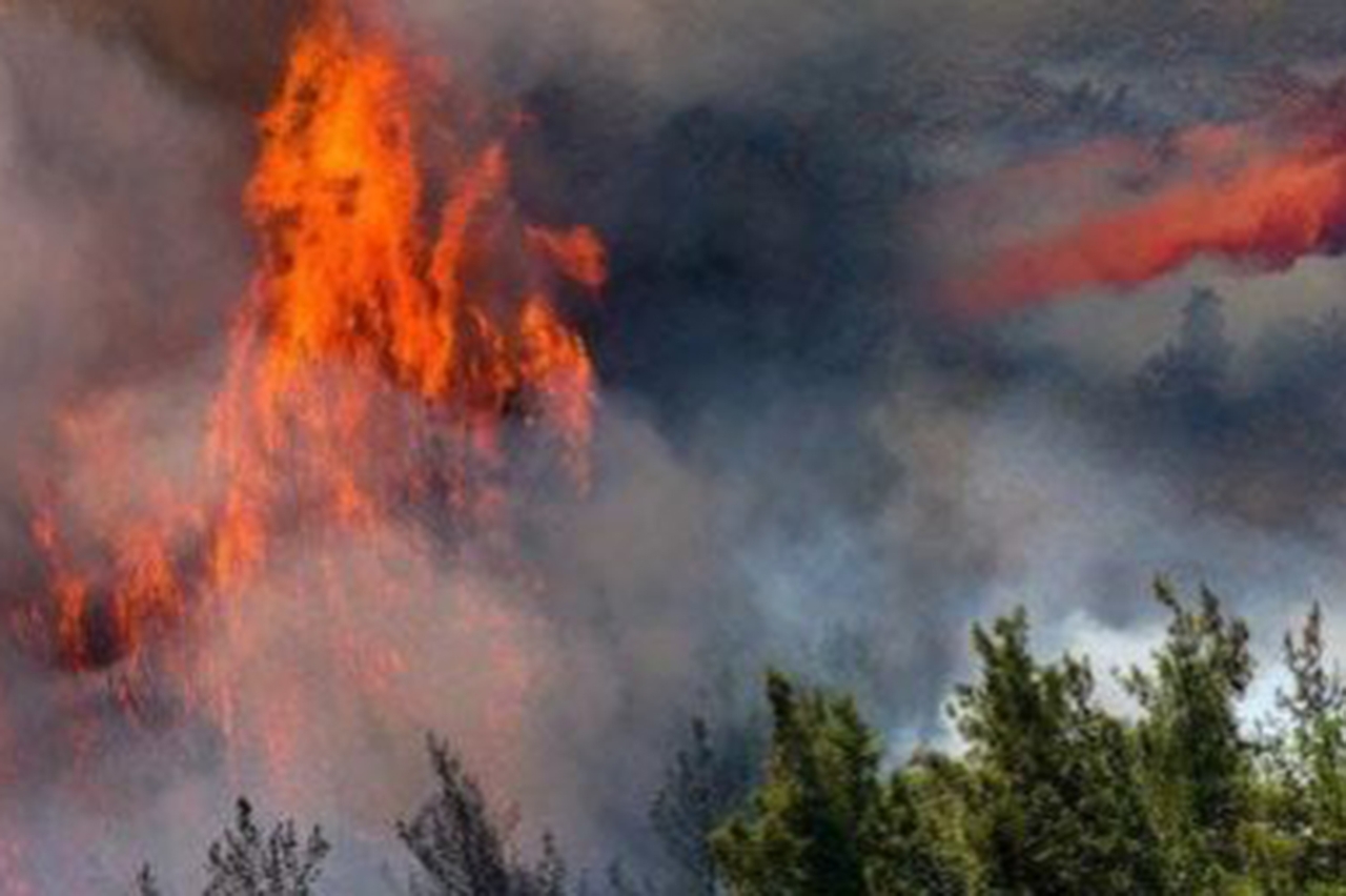 Muğla'da orman yangını