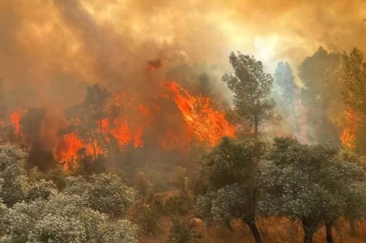 Eskişehir'deki orman yangınında hayatını kaybedenlerin isimleri belli oldu  