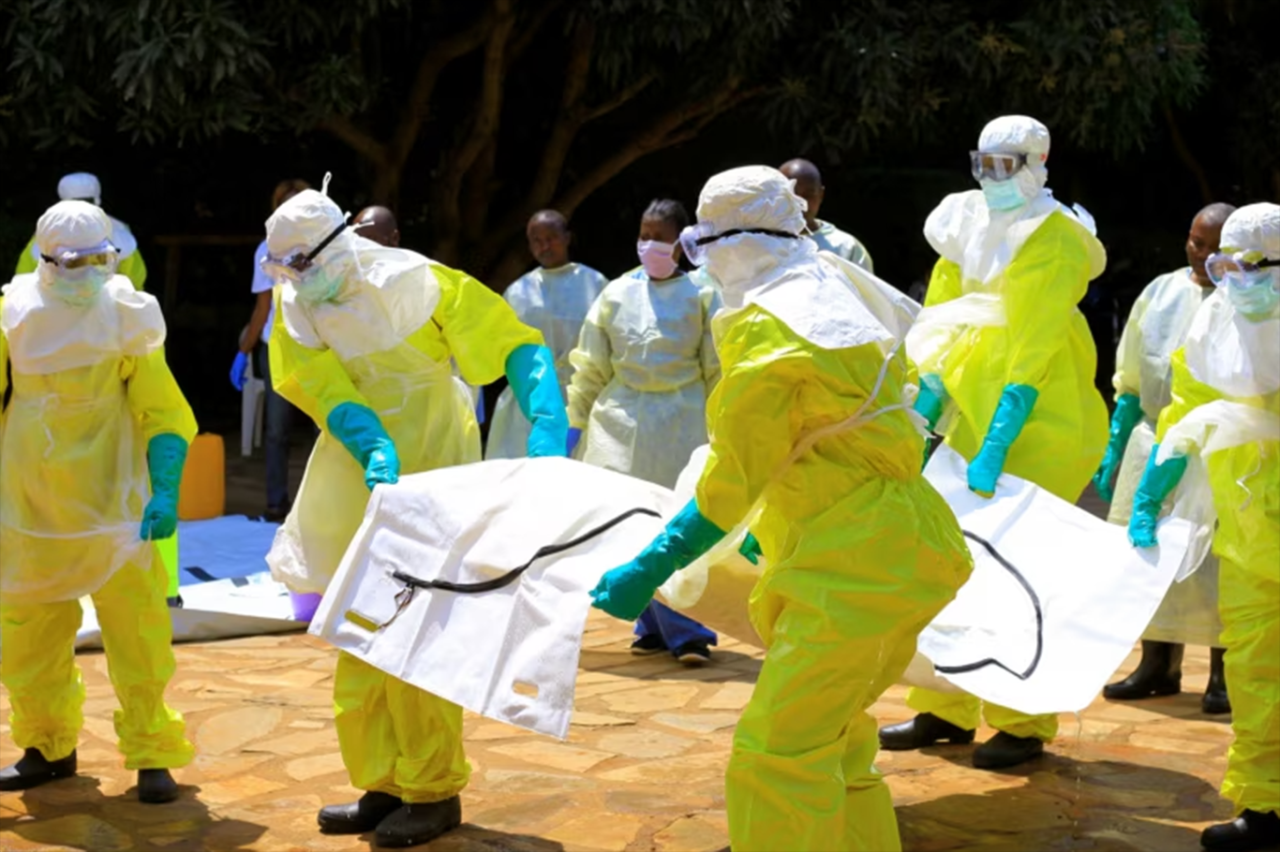 Kongo'da Ebola salgını: 246 ölü, 1077 vaka 