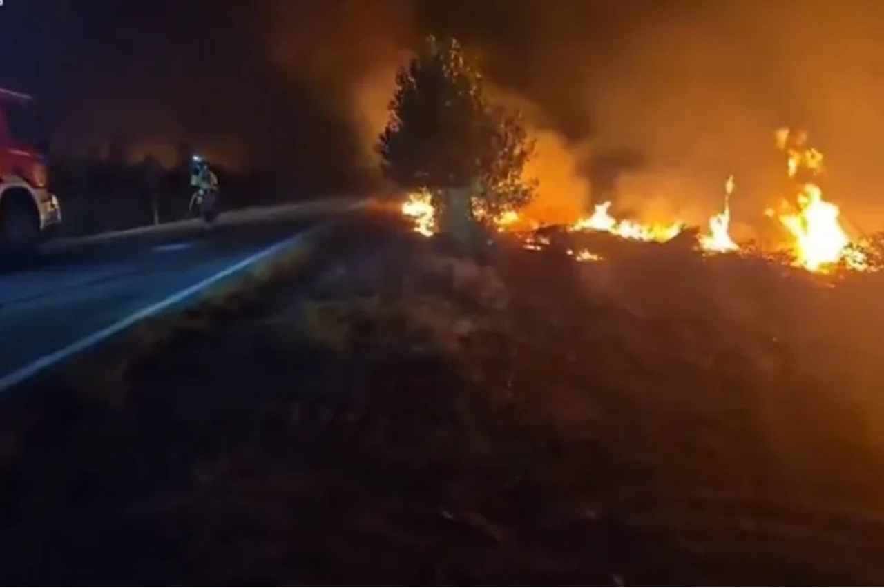 İspanya'da orman yangını