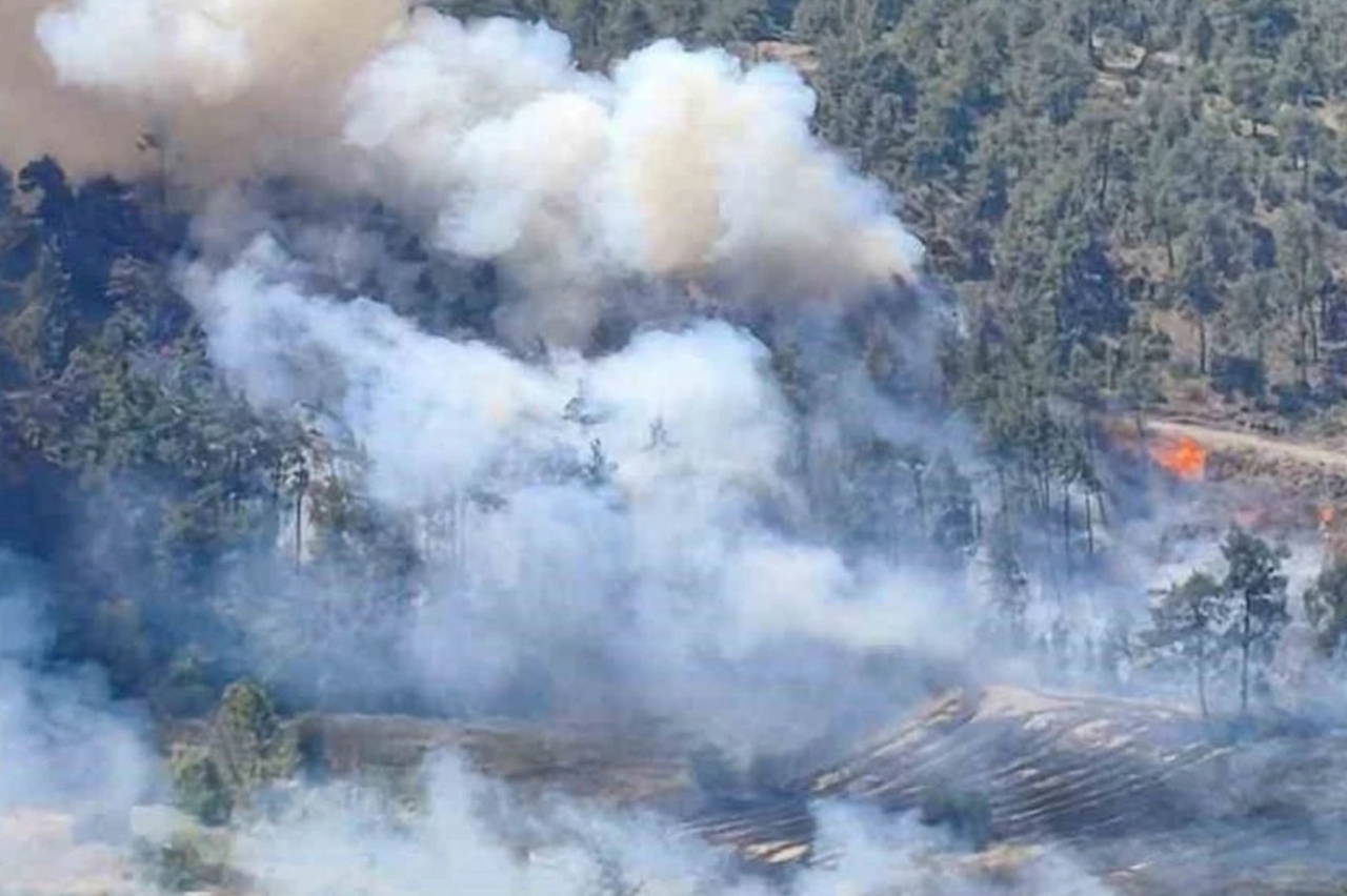 Balıkesir'in Gömeç ilçesinde orman yangını