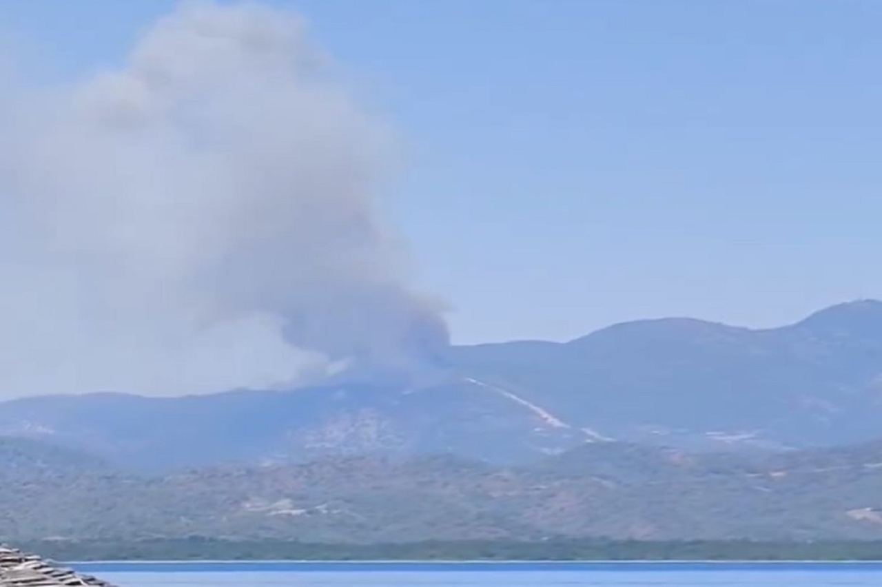 Muğla'da orman yangını
