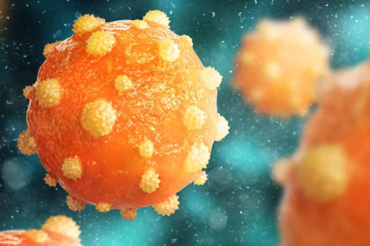 Hepatitler hakkında doğru sanılan yanlışlar