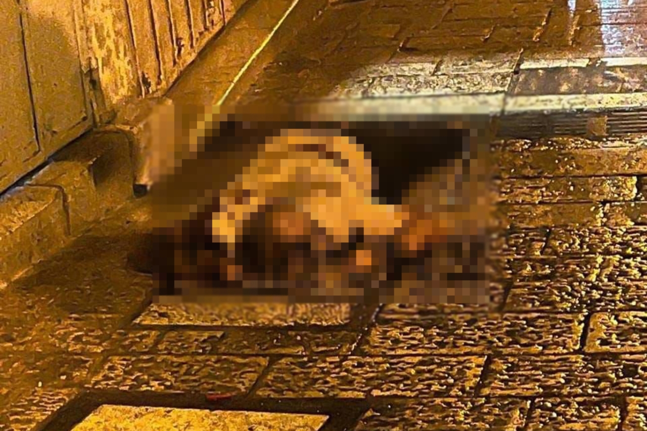 Kudüs'te siyonist katiller bir Filistinliyi daha katletti