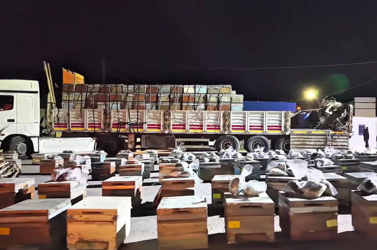Arı kovanlarının arasına gizlenmiş 91,1 kilo uyuşturucu ele geçirildi