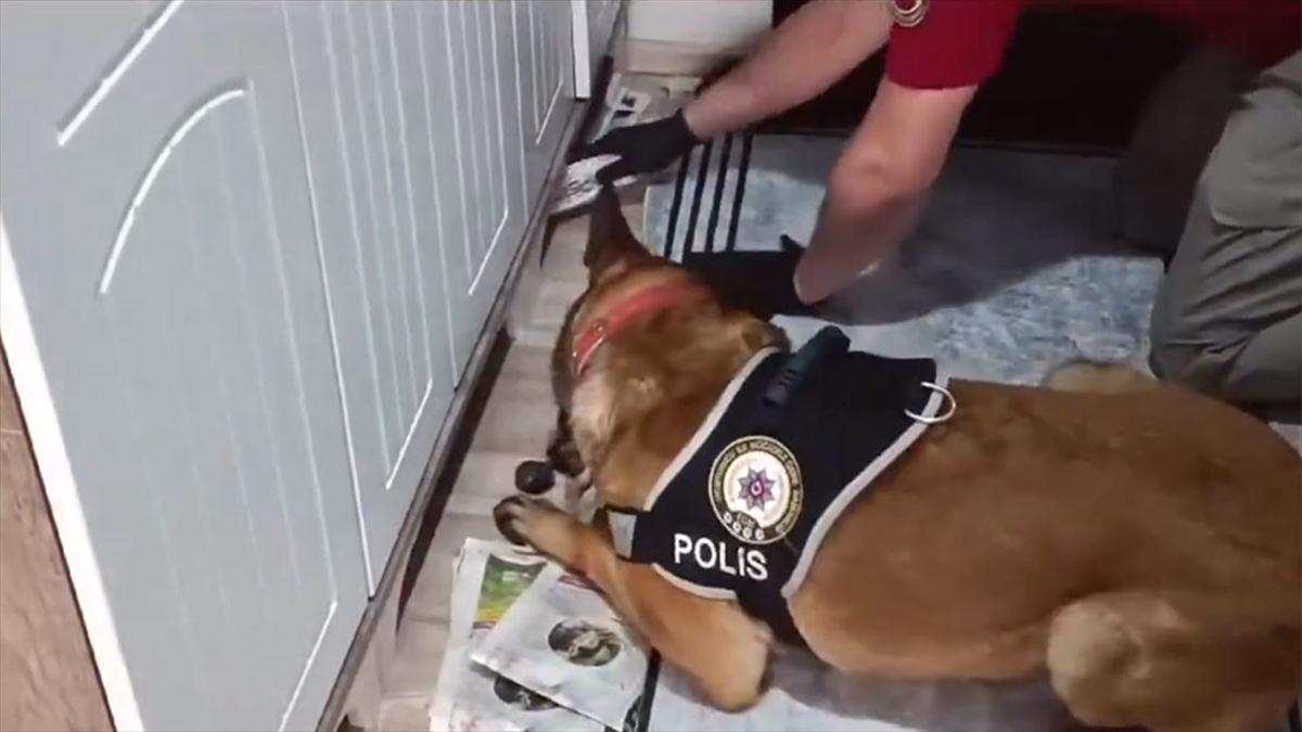 Suç örgütüne yönelik 