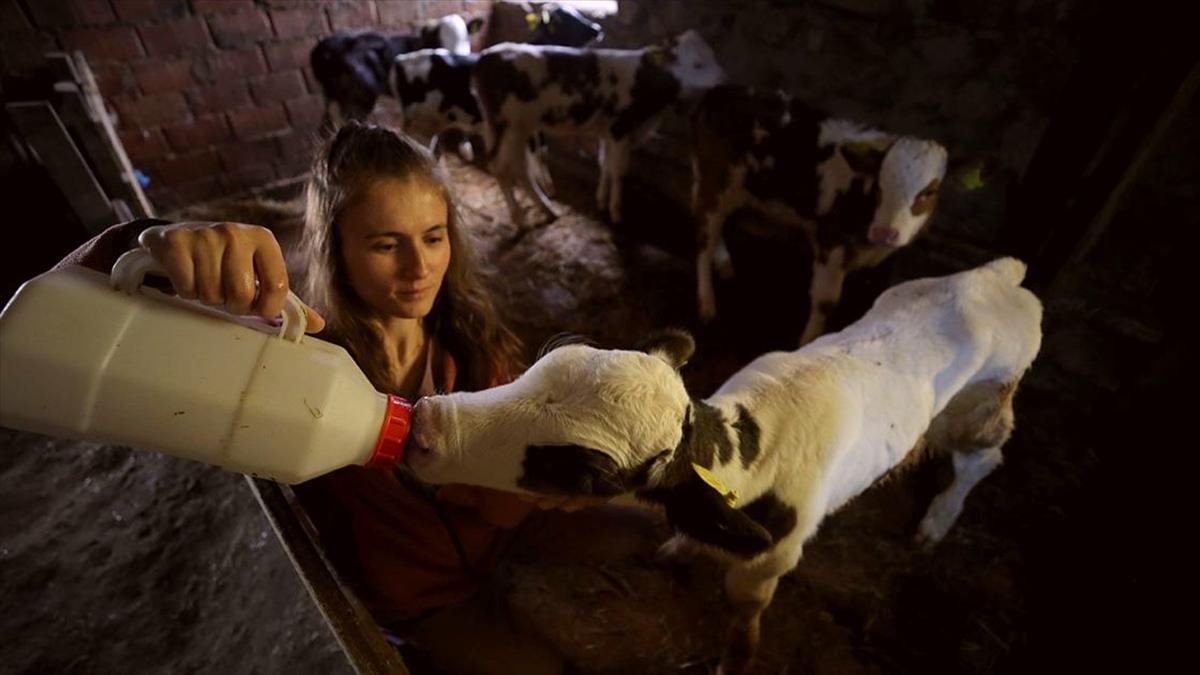 Veteriner hekimler her koşulda hayvanların tedavisine koşuyor