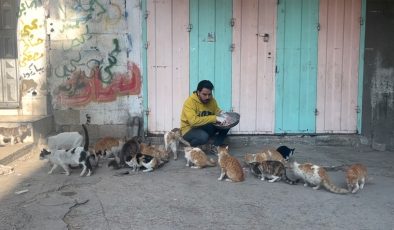 Gazzeli genç, İsrail saldırıları altında beslediği kedilerin ölmemesi için mücadele ediyor