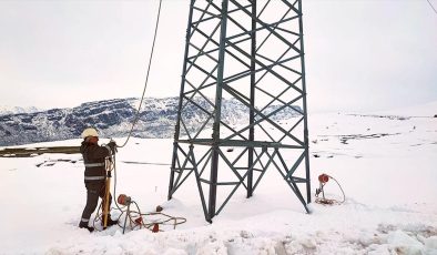 Siirt’te hava muhalefetinin neden olduğu, 12 köyü etkileyen elektrik arızası giderildi