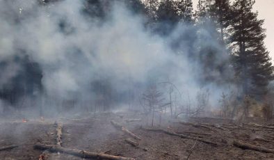 Kastamonu’da enerji nakil hattından sıçrayan kıvılcım ormanda yangına neden oldu