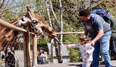 Kocaeli’deki hayvanat bahçesi bayramda ziyaretçilerini ağırlamaya hazır